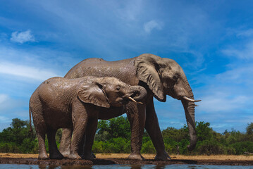 Obraz premium The Best Company