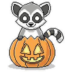 Pixel Art Raccoon Peeking Out from Carved Halloween Pumpkin with Transparent Background