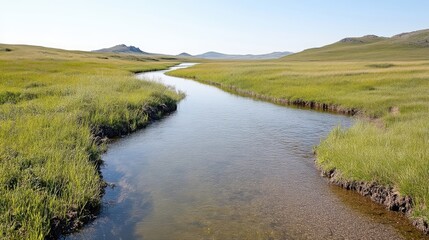 Fototapeta premium A meandering stream flows through a grassy plain. The banks are lined with lush green vegetation. Rolling hills form a distant backdrop under a clear sky. The image is sharp and well-lit, exhibiting