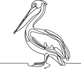 Elegant Pelican Line Drawing in Vector