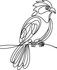 Quetzal Bird Line Drawing