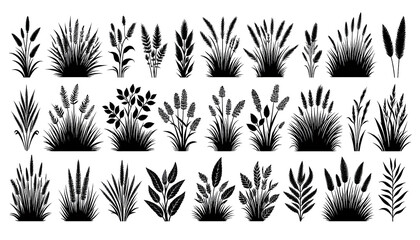 Transparent PNG of botanical silhouettes -  Herb and shrub foliage outlines Transparent PNG
