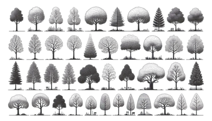 Tree silhouette assets for planners and designers- Transparent PNG
