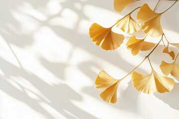 Vibrant golden ginkgo leaves are gracefully arranged on a white background, creating intricate shadows that enhance the elegant and natural aesthetic of the composition.