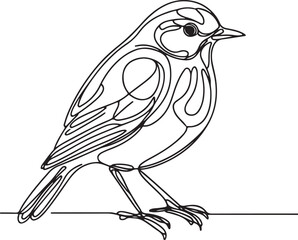 Thrush Bird Vector Illustration