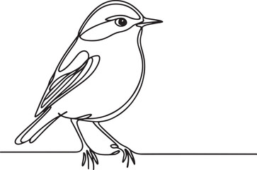 Warbler Line Drawing - Nature and Bird Design