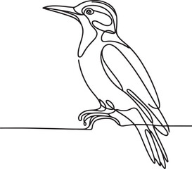 Woodpecker Line Drawing Vector Art