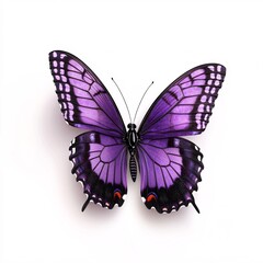 Obraz premium Isolated image of a lovely purple butterfly on a clean white canvas