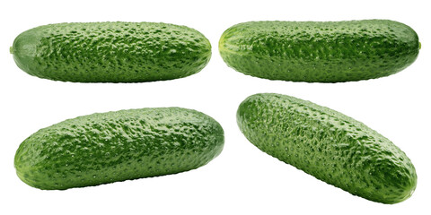 Cucumber isolated on white background, full depth of field