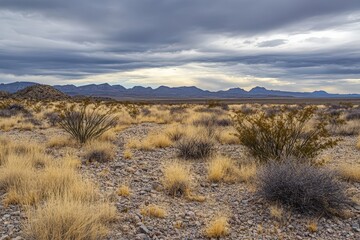 Karst Plateau Landscape with Dry Grass under Cloudy Sky