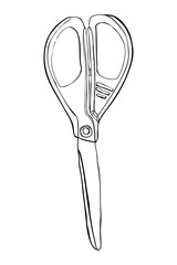 stainless steel scissors isolated 