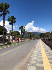 Obraz premium Street with palm trees, sunny day, coastal town