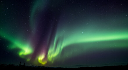 Majestic Aurora Borealis Display Over Starry Night Sky and Silhouetted Landscape