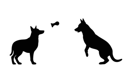 Obraz premium Eager dogs playing fetch, joyful anticipation