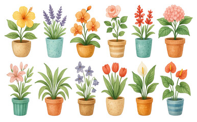 Fototapeta premium PNG watercolor potted flower set with hibiscus, orchids, roses, tulips, calla lilies, hydrangeas, and green plants isolated on transparent background. Clipart botanical elements, floral design assets