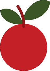 cranberry fruit vector on transparent background