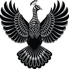 Peacock Vector Silhouette | Colorful Bird Outline and Design Peacock Silhouette Set | Elegant Bird and Nature Vector Icons