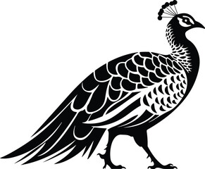 Fototapeta premium Peacock Vector Silhouette | Colorful Bird Outline and Design Peacock Silhouette Set | Elegant Bird and Nature Vector Icons