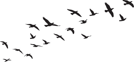 Fototapeta premium Flock of flying birds