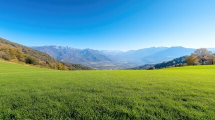Fototapeta premium Expansive meadow stretches towards distant mountain range under a clear blue sky. Lush green grass fills the foreground, while rolling hills and trees are visible in the background. A tranquil,