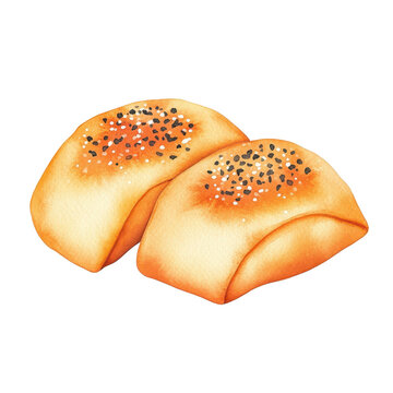 Traditional mongolian buuz dumplings with sprinch sprinch in a captivating watercolor illustration presentation