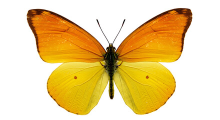 Obraz premium Abstract digital artwork with vibrant colors and creative design