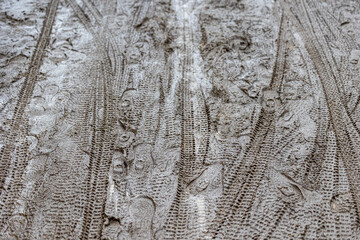 Mountain bike tire tracks on the muddy road