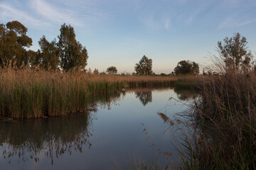 At sunset, a useful walk along the pond