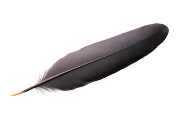 A single black feather with smooth texture and delicate barbs, isolated on transparency background, evokes sense of elegance and simplicity © Rattanathip