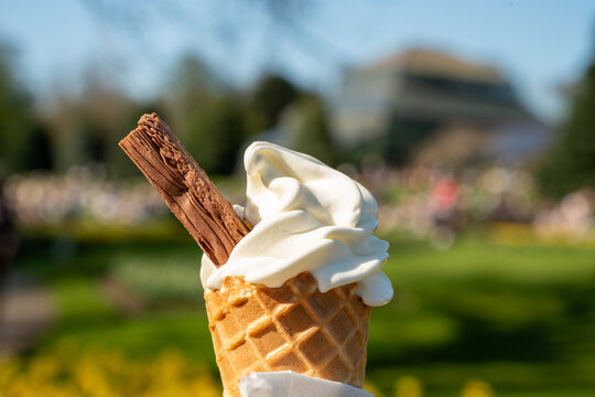 Close-up of a classic vanilla soft-serve ice cream cone with a chocolate flake held in a park on a sunny spring day.