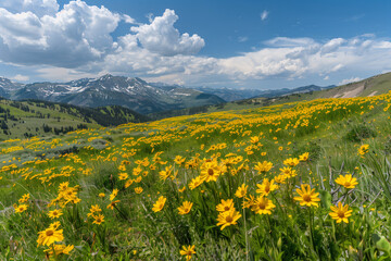 Yellow Flower Landscape with Sunny Blooming Fields, Green Valleys, and Blue Skies in a Scenic Springtime Setting