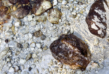 natural stones and pebbles under shallow crystal clear water with bright sunlight and visible textures. light earthy color palette. wellness