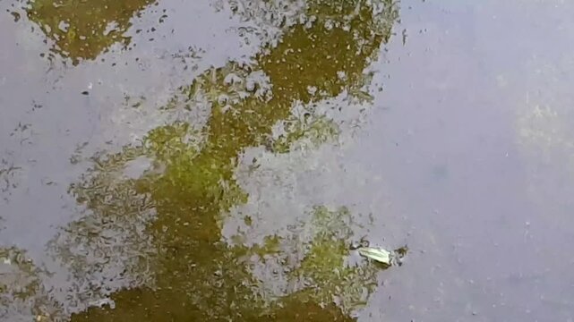 beautiful fountain in the middle of the heart of the city, hermosa fuente en medio del coraz&oacute;n de la ciudad Video 2