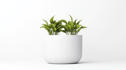 A white, rounded planter holds two small, lush green plants. The simple composition features a minimalist aesthetic. The image is high-quality with even lighting, creating a clean, serene mood. The