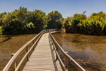 Obraz premium Boardwalk in Azraq Wetlands Reserve, Jordans