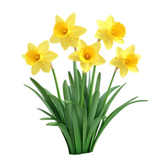 A 3D Daffodil Plant with Bright Yellow Flowers Isolated on Transparent Background