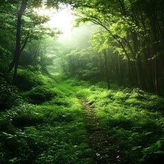Obraz premium Enchanted Forest Path: Lush Green Trees and Sunlight