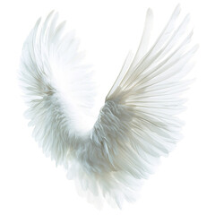 Heart with Feathery Wings Flying Gracefully Isolated on Transparent Background
