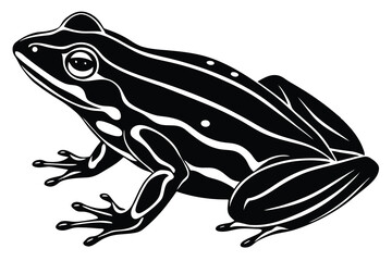 Variant style of frog silhouette vector illustration, isolated on a white background.