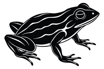 Variant style of frog silhouette vector illustration, isolated on a white background.