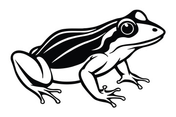 Variant style of frog silhouette vector illustration, isolated on a white background.