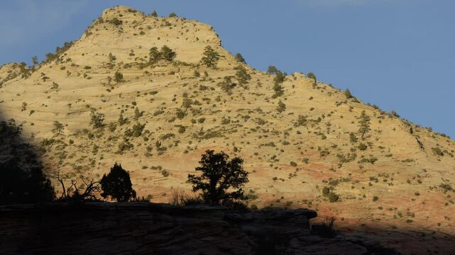 Silhouettes of trees and shrubs frame the colorful striped sandstone cliffs at sunset in Zion National Park, creating a striking contrast in this breathtaking natural landscape.