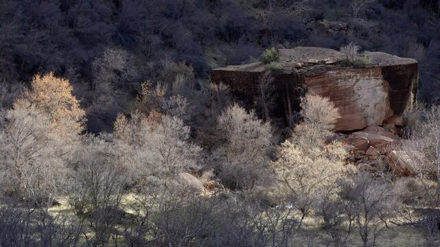 The natural beauty of Zion National Park in Utah with unique rock formations and spring foliage.