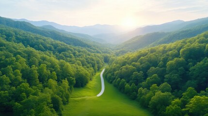 Mountain Valley Road Winding Path Lush Green Serenity Aerial High-Resolution Wide Angle View Serene Landscape Travel Tourism Vibrant Verdant Ideal for Travel Brochures