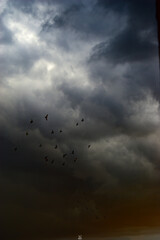 storm clouds timelapse