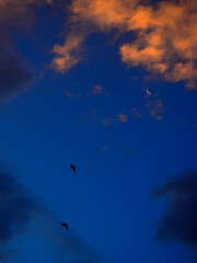 sky and clouds