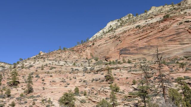 Vibrant red and orange rock formations showcase the natural beauty of Zion National Park. Lush greenery contrasts with the rugged terrain under a bright blue sky, Utah