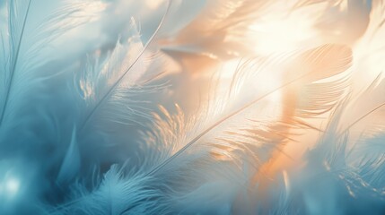 Soft wispy feather texture