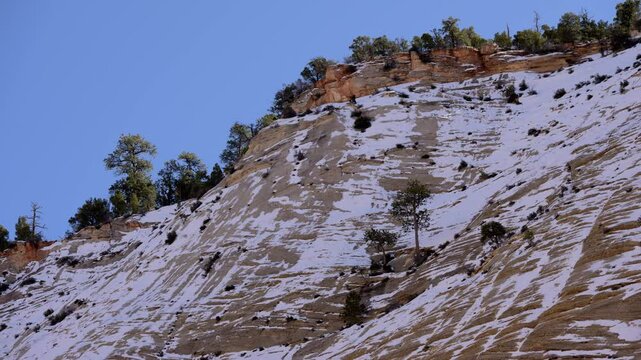 Unique rock formations and trees in Zion National Park, Utah during a clear sunny day with snow in the background.