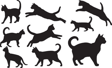 Abyssinian Cat Silhouette – Minimal Vector Illustration on White Background